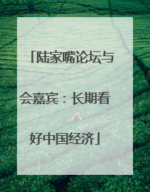 陆家嘴论坛与会嘉宾：长期看好中国经济